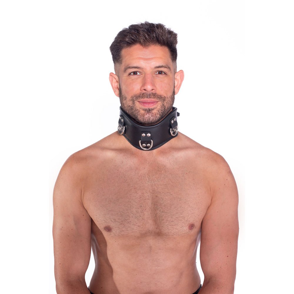 prowler-red-leather-posture-collar-lxl Prowler RED Leather Posture Collar L/XL - Image 1