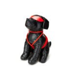 Prowler RED Roped Up Rover L - Image 2
