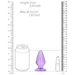 RealRock Crystal Clear 3.5 in. Anal Plug Purple - Image 5