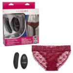 Remote Control Lace Panty Set - S/ M - Burgundy - Image 4