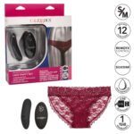 Remote Control Lace Panty Set - S/ M - Burgundy - Image 6