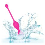 Remote Dual Motor Kegel System - Image 8