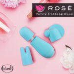 Rose - Petite Massage Wand - Blue - Image 9