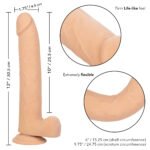 Size Queen 10 inch/25.5 Cm - Ivory - Image 4