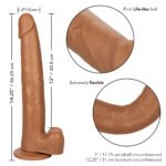 Size Queen 12 inch/30.5 Cm - Brown - Image 7