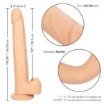 Size Queen 12 inch/30.5 Cm - Ivory - Image 3