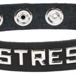 Sm Collar - Mistress