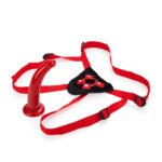 Sophia's Red Rider - Image 4