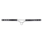 Sportsheets Sex & Mischief Shadow Day Collar – Black and Silver - Image 8