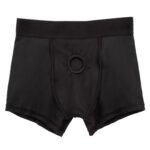 Her Royal Harness Boxer Brief - S/m - Image 6