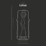 The Handy Dream Collection Lotus Sleeve - Image 6