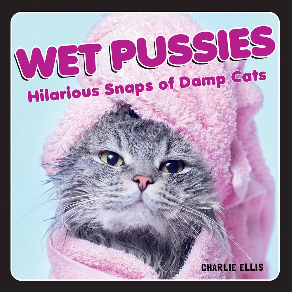 wet-pussies-hilarious-snaps-of-damp-cats Wet Pussies: Hilarious Snaps of Damp Cats - Image 1
