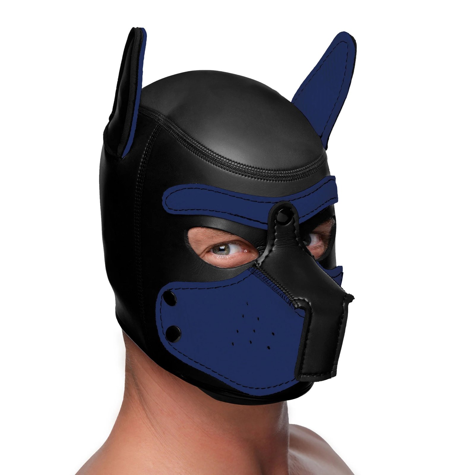 Spike Neoprene Puppy Hood - Blue image 0 Spike Neoprene Puppy Hood - Blue - Image 1