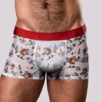 Christmas Trunks Seamless Sheer Short - Medium