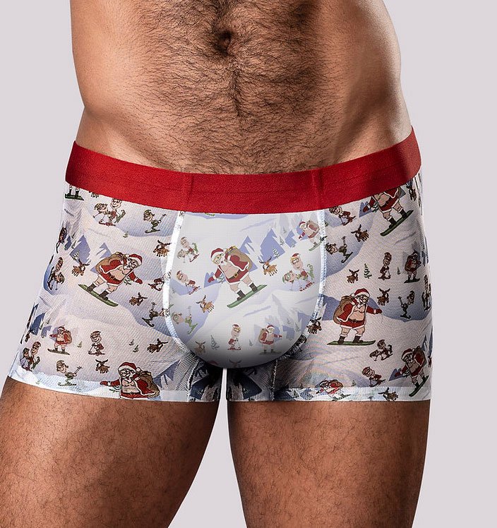 Christmas Trunks Seamless Sheer Short - Medium image 0 Christmas Trunks Seamless Sheer Short - Medium - Image 1