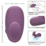 Mod Touch - Purple - Image 7