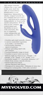 Butterfly Dream - Periwinkle - Image 6