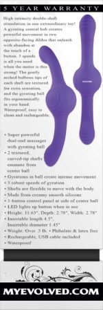 Our Gyro Vibe - Purple - Image 2