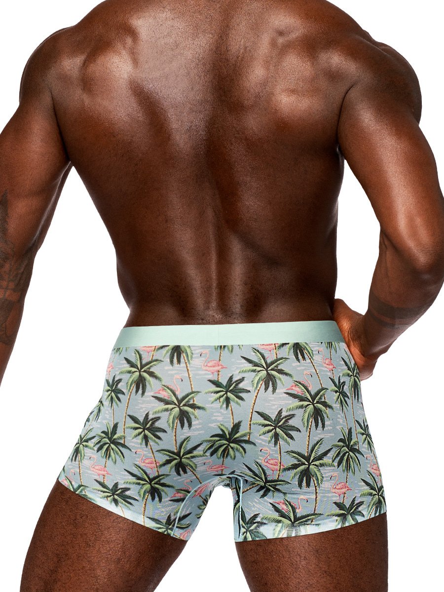 Sheer Prints - Seamless Sheer Short - Small - Flamingo image 0 Sheer Prints - Seamless Sheer Short - Small - Flamingo - Image 1