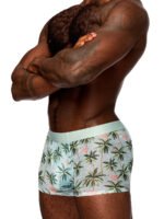 Sheer Prints - Seamless Sheer Short - Medium - Flamingo - Image 2
