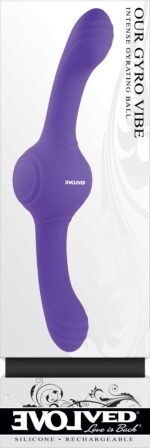 Our Gyro Vibe - Purple - Image 3