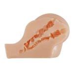 Kylie Realistic Vagina and Ass Vibrator - Light - Image 7