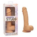 Dual Density Silicone Studs 6.25 Inch - Ivory - Image 3