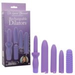 Dr. Laura Berman Rechargeable Dilators Set of 4 Locking Sizes Plus Sleeve - Purple - Image 3
