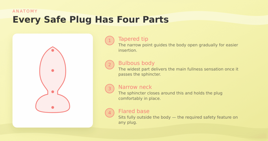 Infographic showing the four parts of a body-safe butt plug