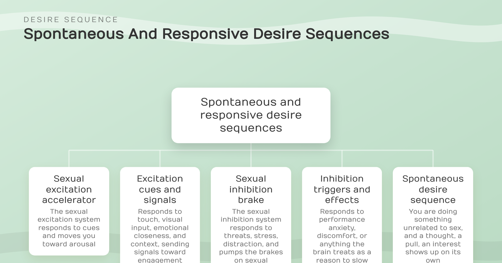 Spontaneous vs. Responsive Desire: What the Difference Actually Means for Your Sex Life 20 spontaneous-and-responsive-desire-sequences